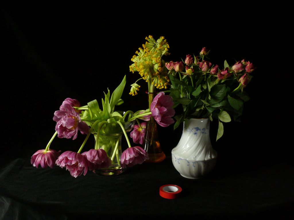 Photographie Fleurs et scotch rouge, 2008