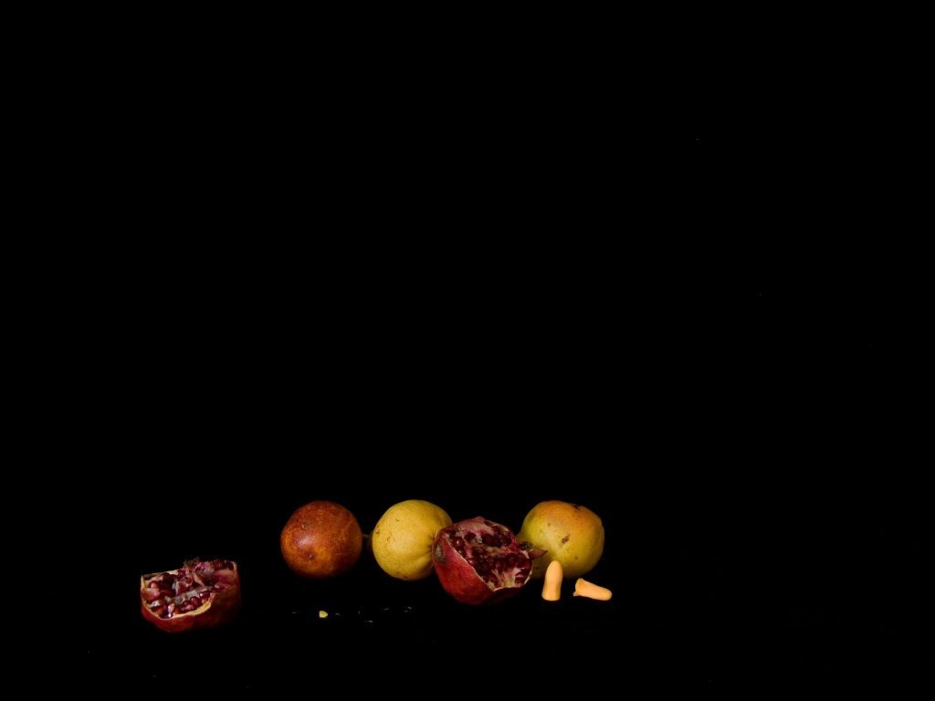 Photographie Grenades, pommes et bouchons d'oreille, 2009