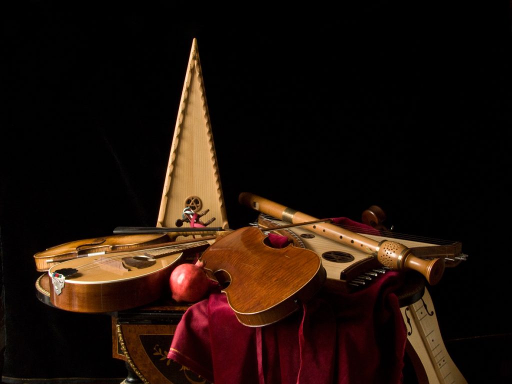 Photographie Instruments de musique, 2009