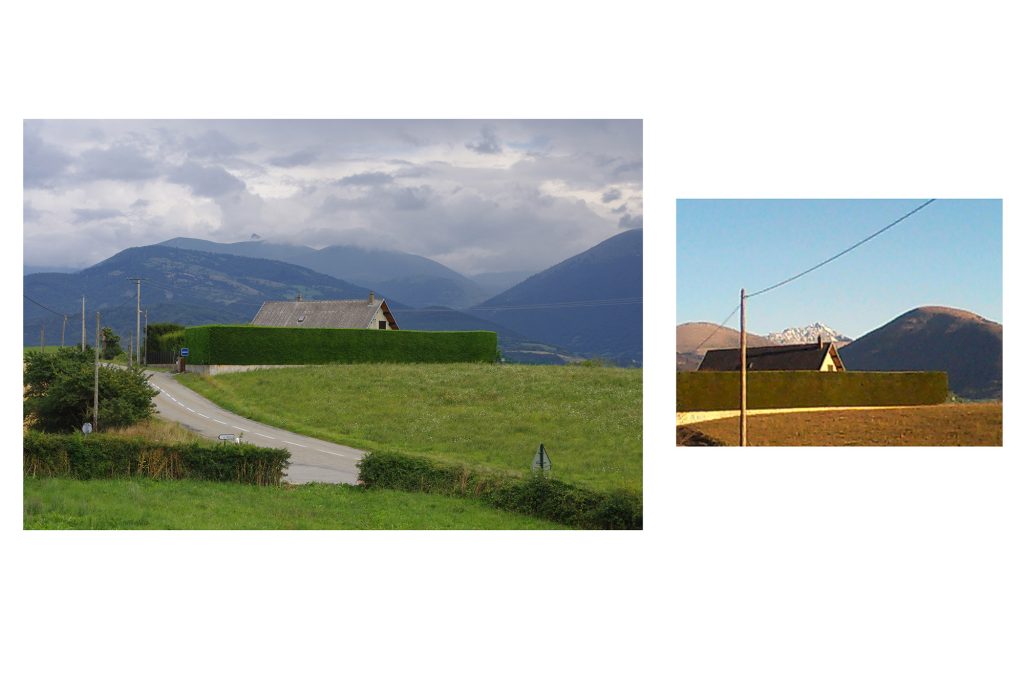 Landscape Hedge 1024x682