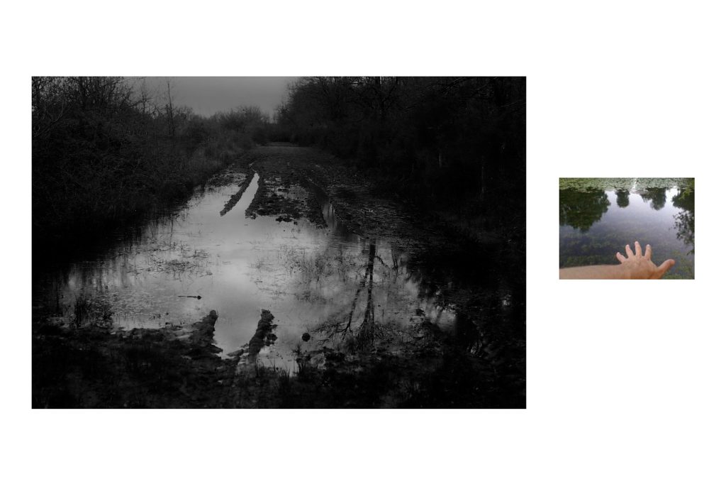 Landscape Pond 1024x682