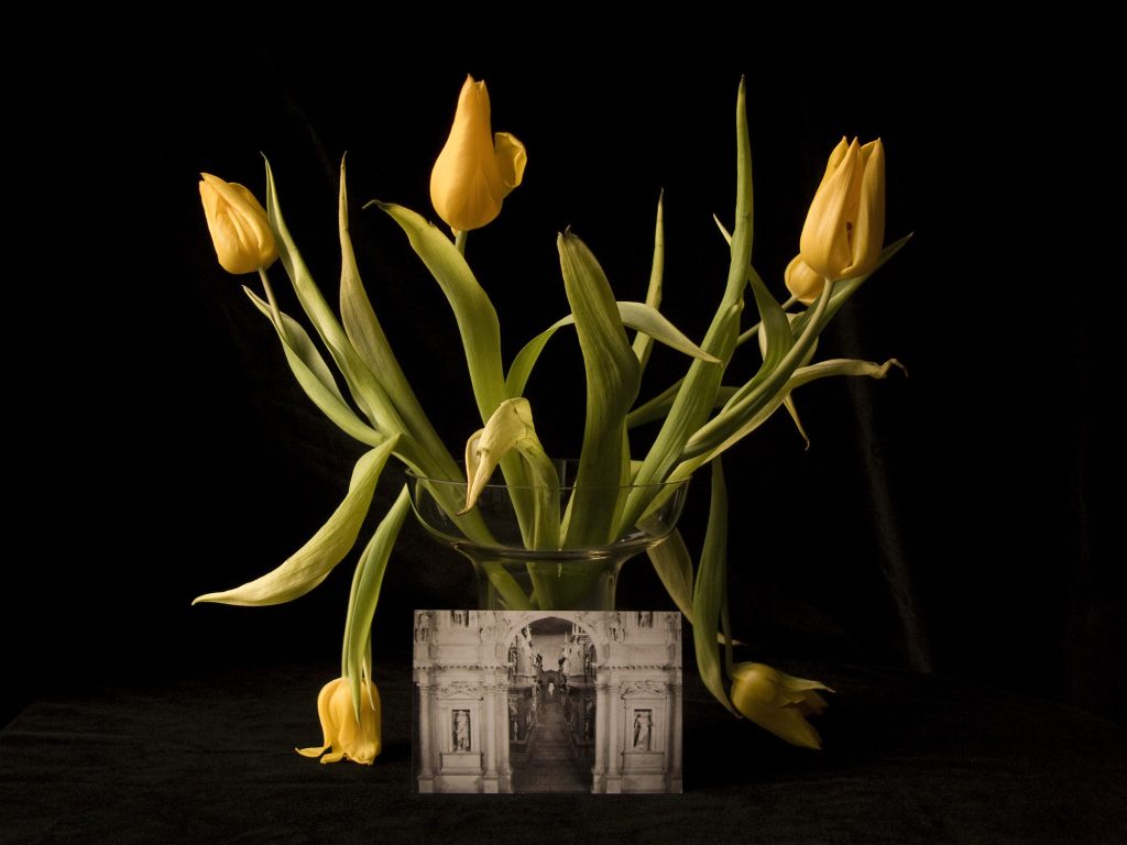 Photographie Théâtre des illusions, 2009