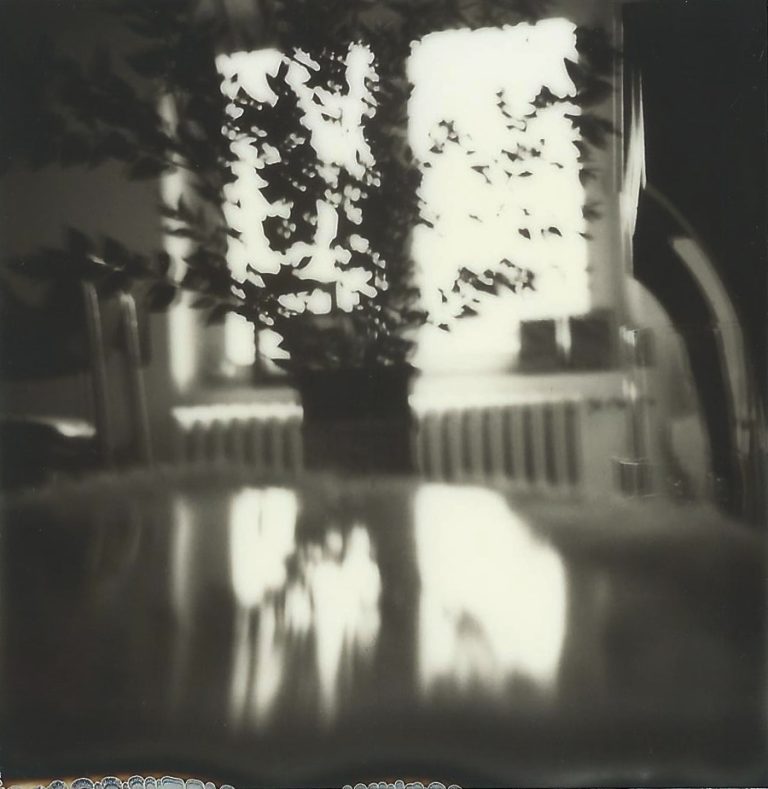 Polaroid sans titre, 2020