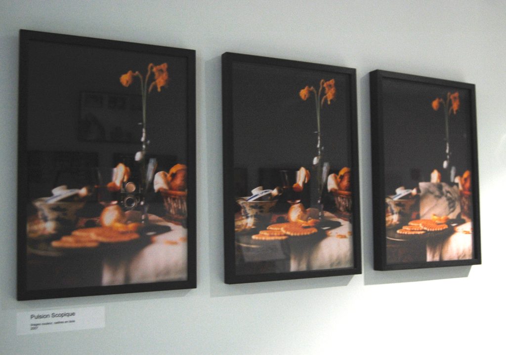 Pulsion Scopique, 2005-2006 3 tirages couleur, cadres en bois, verre, dimensions approximatives 111 x 33 x 2,5 cm triptyque limité à 3 exemplaires