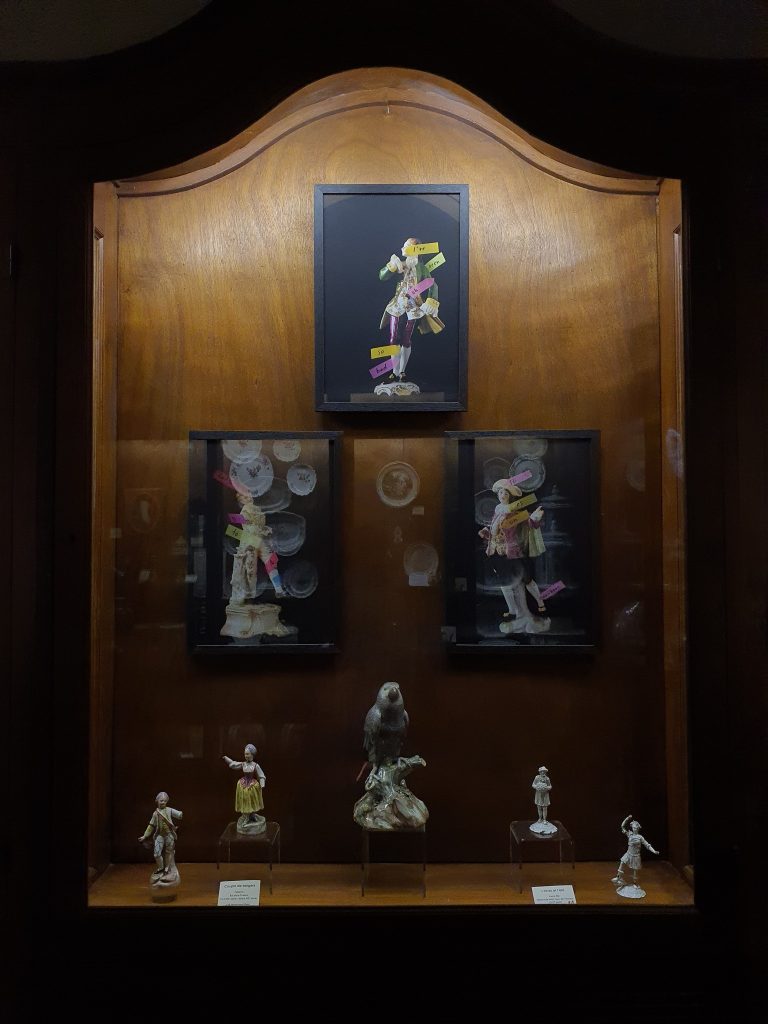 Fragile exposé au musée Henri Barré de Thouars, 2025