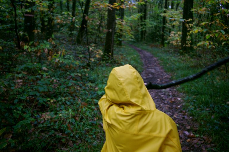 Forêt de Moulière, 2015