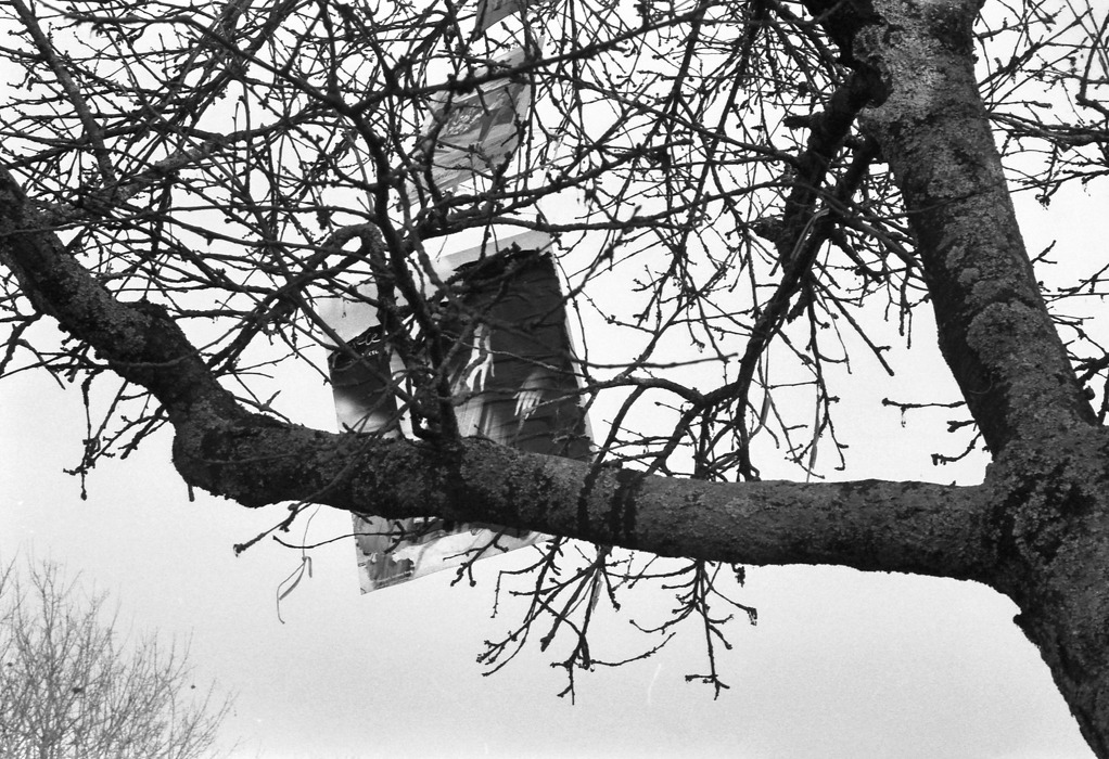 lucrece borgia la villedieu du clain