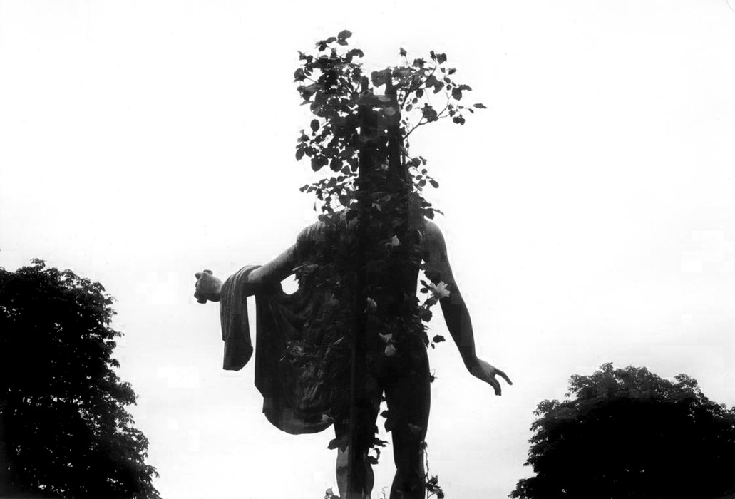 niort, 2001, photographie argentique