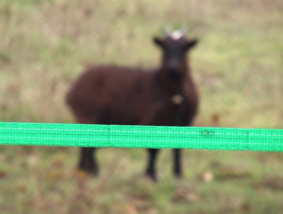 octobre 05 janvier 06 344 1