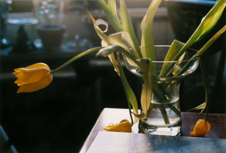Poitiers, 2009