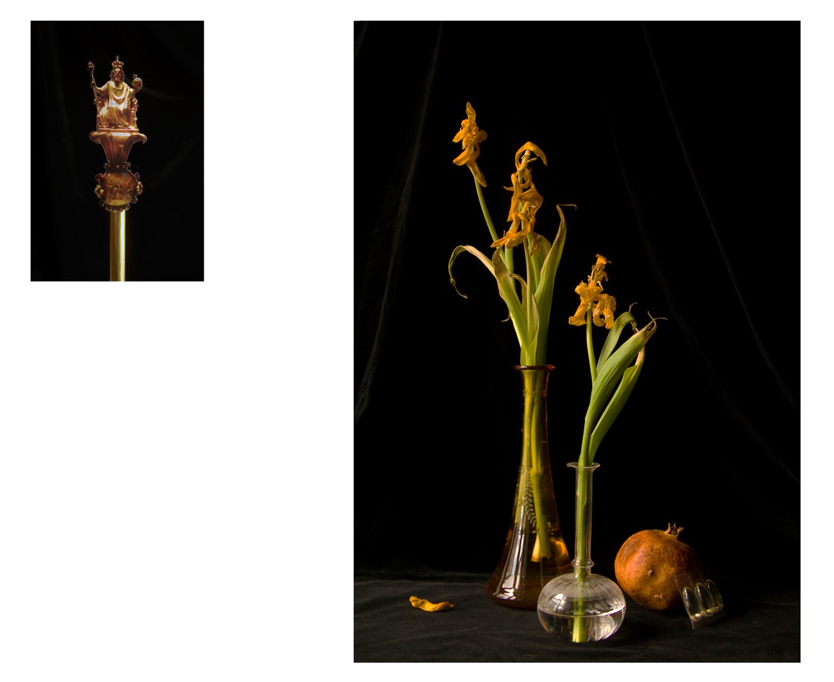 montage tulipes charlemagne