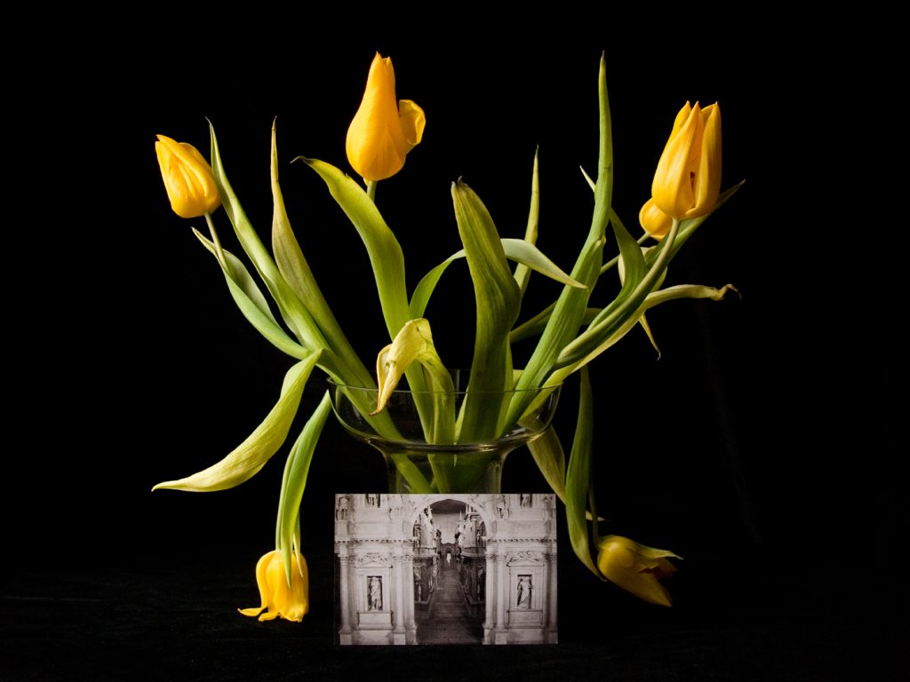 theatre of illusions édition spéciale 2025 1