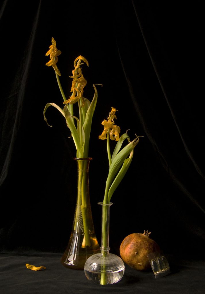 vanité aux tulipes small