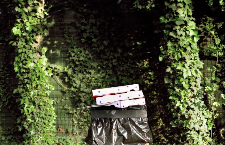 poitiers poubelle boîtes à pizza près du pont neuf étoiles 2008