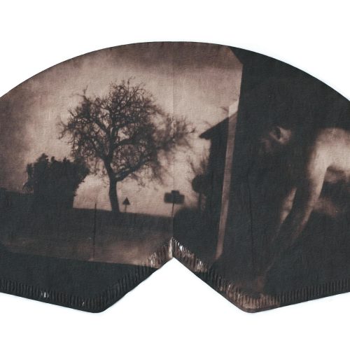 D'après Ingres IV, Cyanotype sur filtre à café, 2020