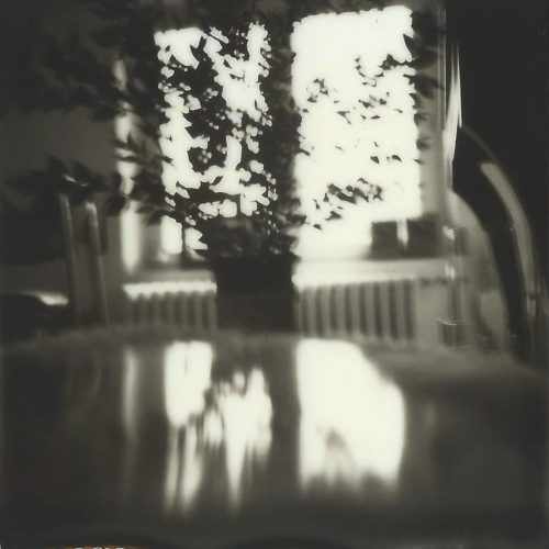 Polaroid sans titre, 2020
